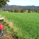 0409F 12 Teutoburger Wald